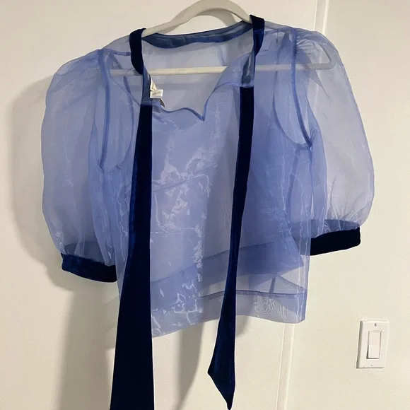 Sheer Blue Puff Sleeve Blouse - Picture 4 of 5